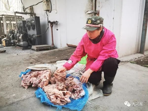 近千只水貂一夜死亡！河南养殖户欲哭无泪！鸭架是“元凶”？