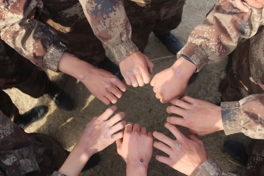 前线夜读|新兵连的迷彩记忆