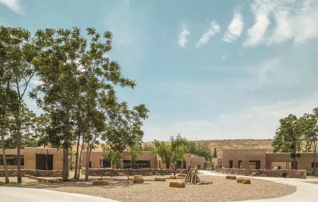 沙坡头骑骆驼游记,宁夏沙坡头旅游攻略