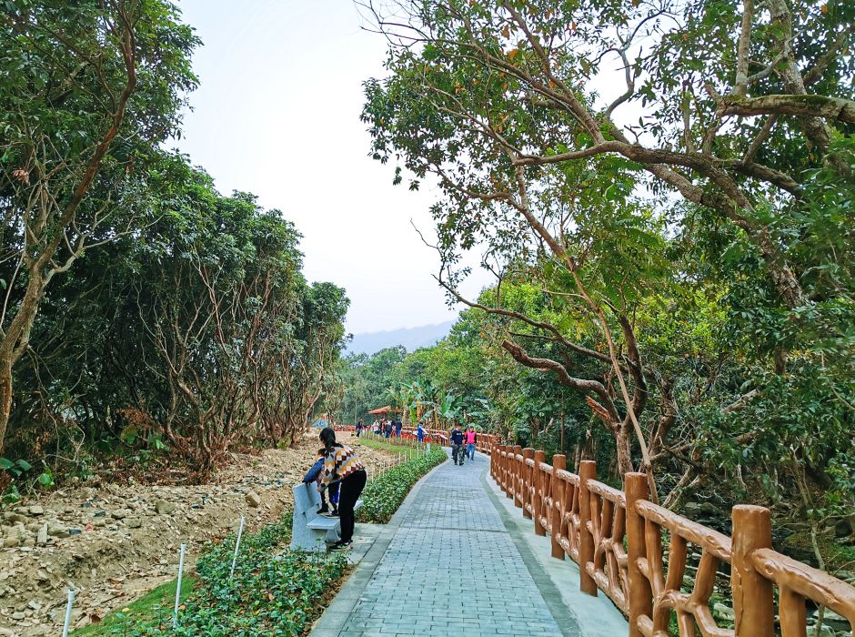 肇庆七星岩星湖夜景民宿,七星岩风景名胜区民宿