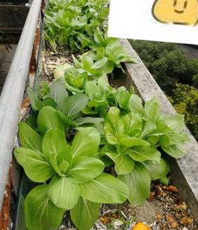 豆瓣抠门精华帖视频,豆瓣抠门省钱小组