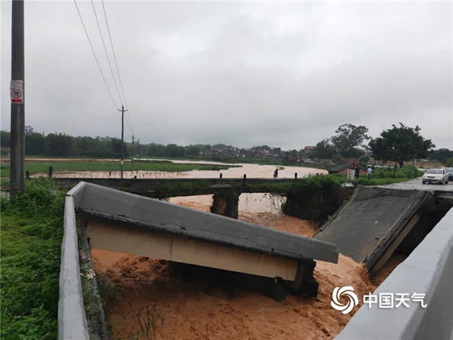中国春雨图鉴图片,春雨图片大全大图