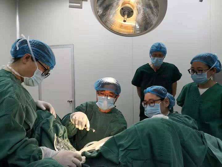 山东省立医院凶险性前置胎盘,济南凶险性前置胎盘手术