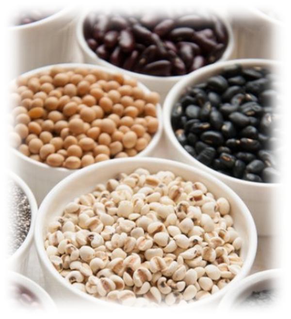 解决头发问题从毛囊开始清理,彻底解决头发问题