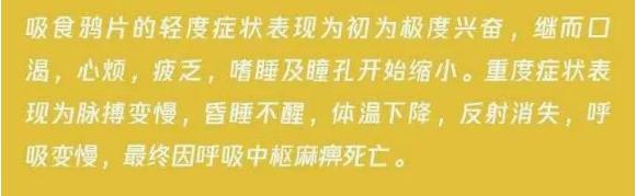 有毒的食物不能乱吃,有毒的食物别再吃