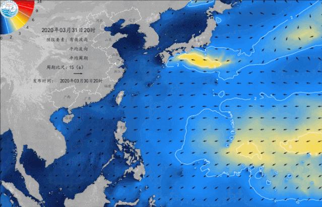 2020高校应届生看过来！小海苔期待和你做同事噢~