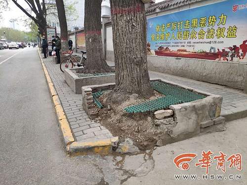 边家村路公交站和西工大路人行天桥西侧有两处花坛被撞破损严重