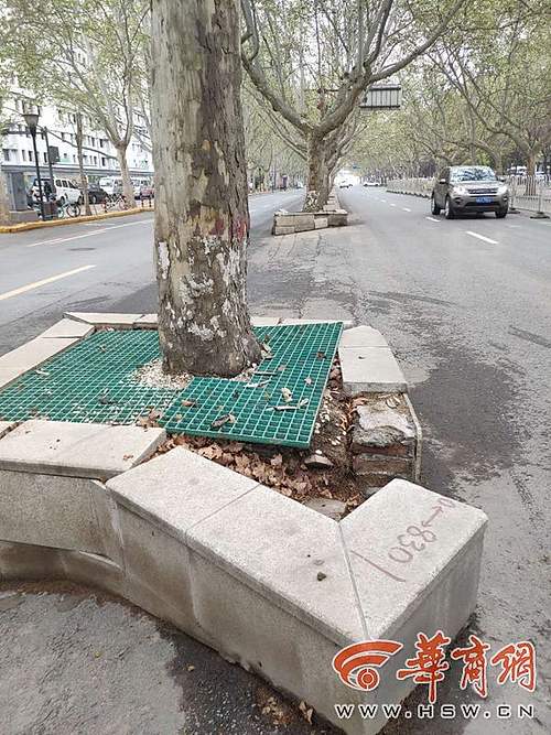 边家村路公交站和西工大路人行天桥西侧有两处花坛被撞破损严重