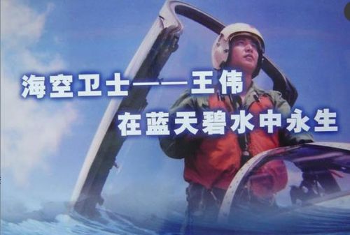 王伟烈士墓前的飞机,王伟烈士墓前有人送来航母模型