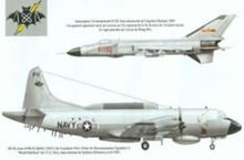 王伟烈士墓前的飞机,王伟烈士墓前有人送来航母模型