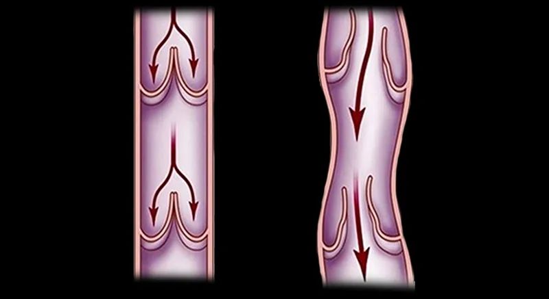涔颁竴閫佷竴杩愬姩琛ｆ湇濂楄,涔颁竴閫佸洓杩愬姩濂楄