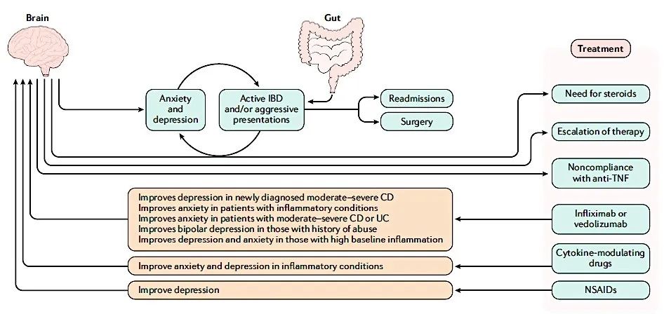 改善肠道功能的抗抑郁药,抗抑郁药可以治疗双相情感障碍