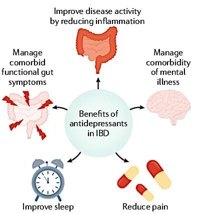 改善肠道功能的抗抑郁药,抗抑郁药可以治疗双相情感障碍