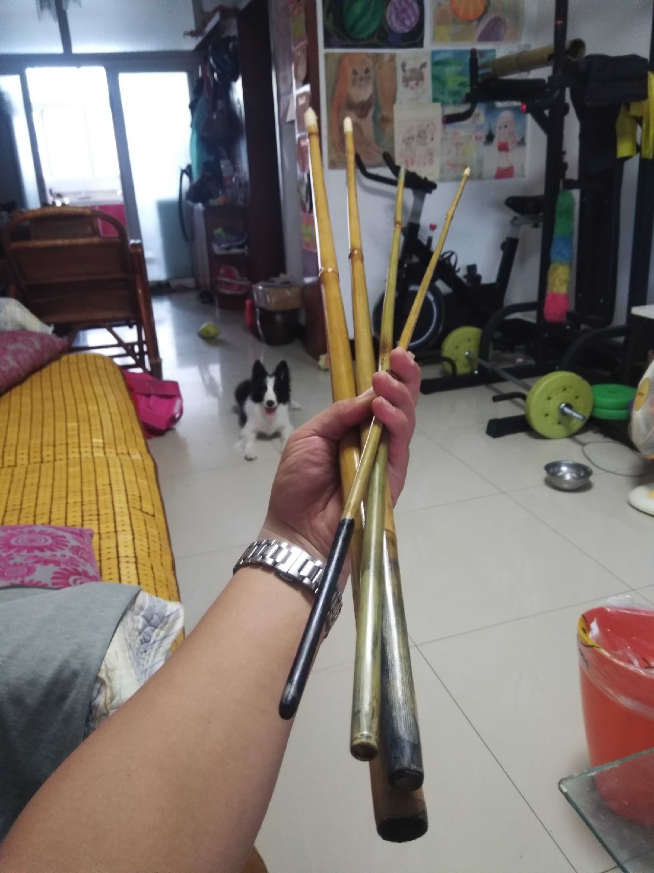 竹制并继竿手感怎么样,自制并继竿需要什么竹子