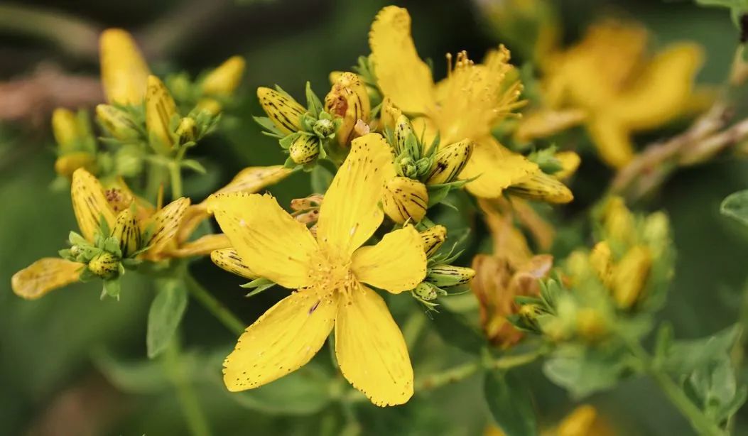 旧皮具翻新护理,30年代老皮具修复