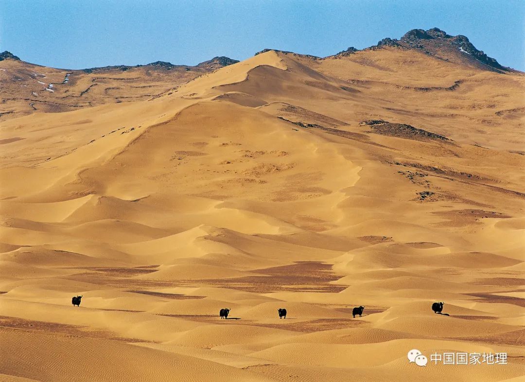 中国之美在于航天之美,中国之美在于什么