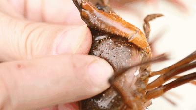 小龙虾美味又简单的做法,又麻又辣的小龙虾怎么做才好吃