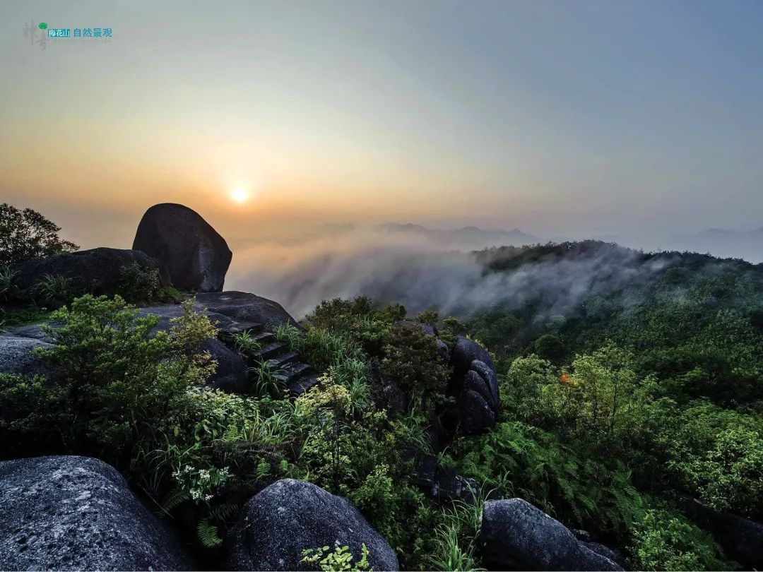 清心养肺,清心养肺项目