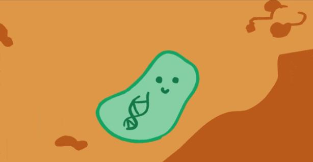 肚子上一抓一大把脂肪,肚子一抓一堆赘肉