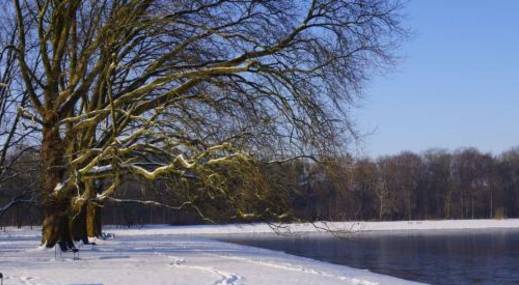 初中常见的30个物理现象和原因,生活中常见的物理现象合理性分析