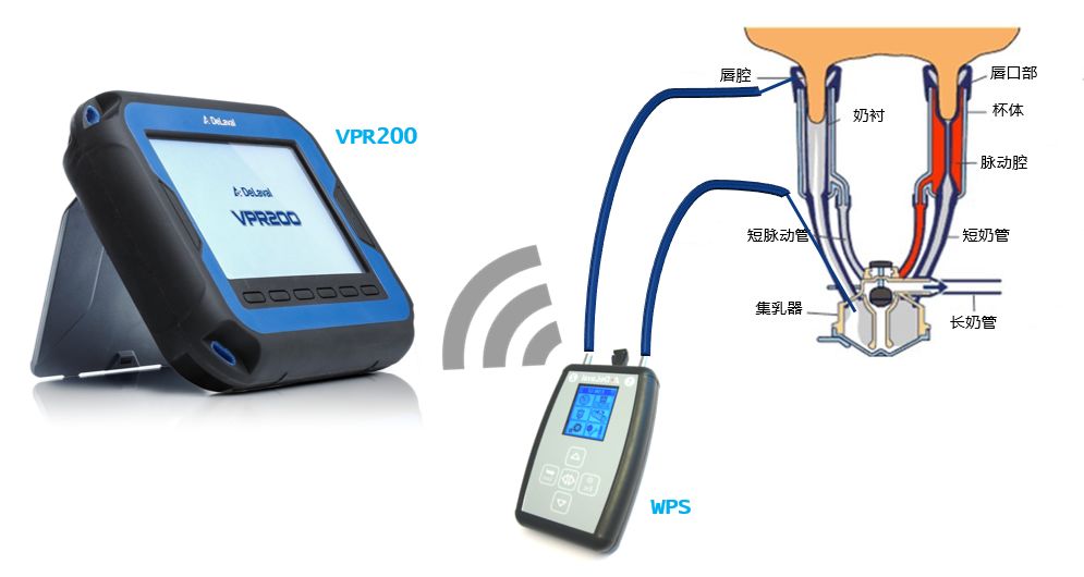 奶牛养殖技术难题及答案,奶牛接产常见问题