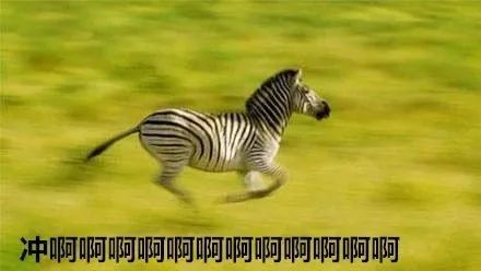 这是一份真诚的道歉声明