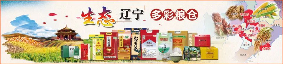 记者采访水稻育苗新闻稿,江苏华穗粮食有限公司