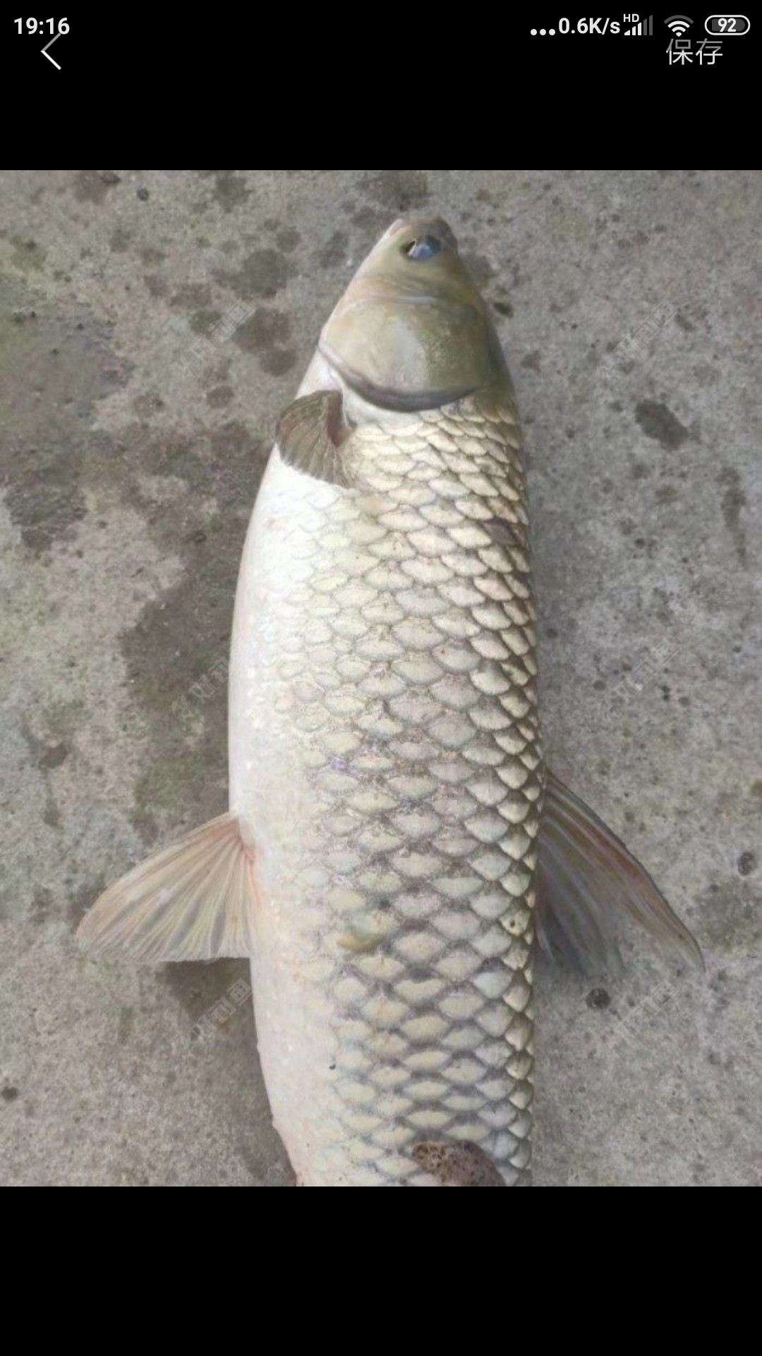 为什么涨水后钓鱼好钓,涨水之后鱼会变多吗