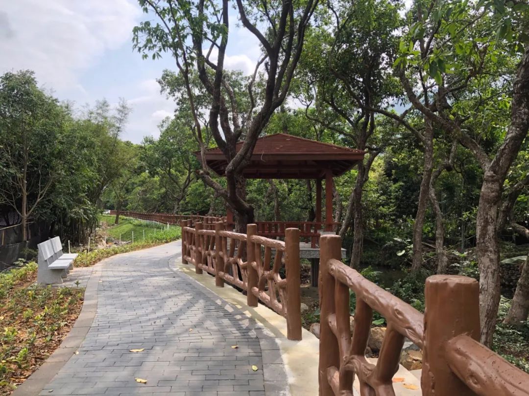 肇庆七星岩星湖夜景民宿,七星岩风景名胜区民宿