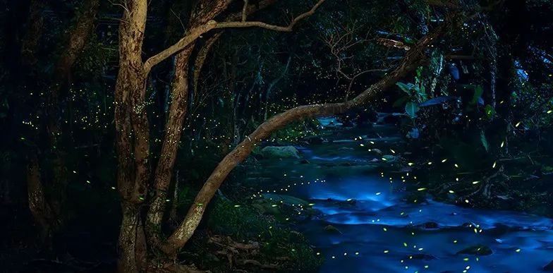 肇庆七星岩星湖夜景民宿,七星岩风景名胜区民宿