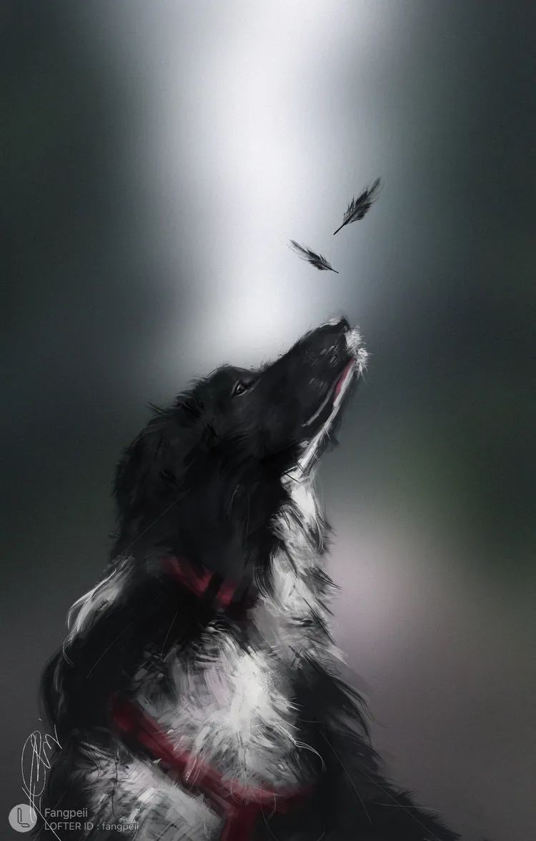 「追色逐影」PS板绘中的色彩流溢10节课报名啦，画出心灵角落上的感动和共鸣