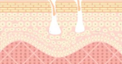 拒绝皮肤干裂带来的尴尬,唇部保养tips教程