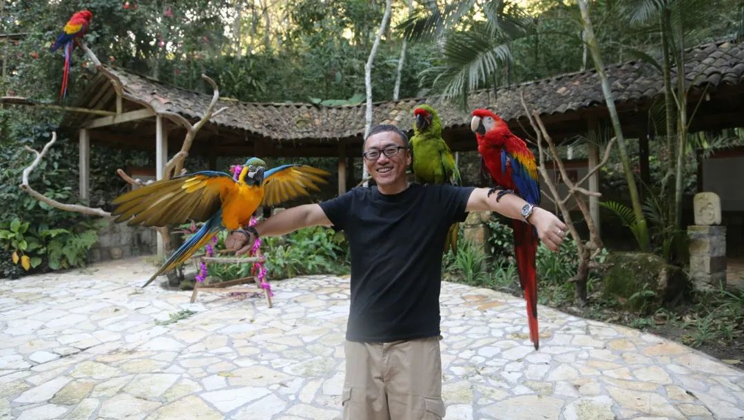 玛雅人变成了俘虏,玛雅人到底有多残忍