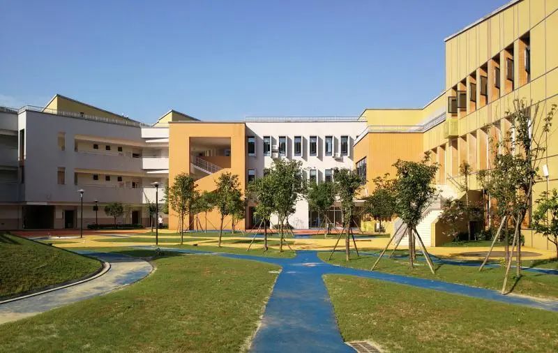 新区幼儿园招聘最新信息,新开镇中心幼儿园招聘