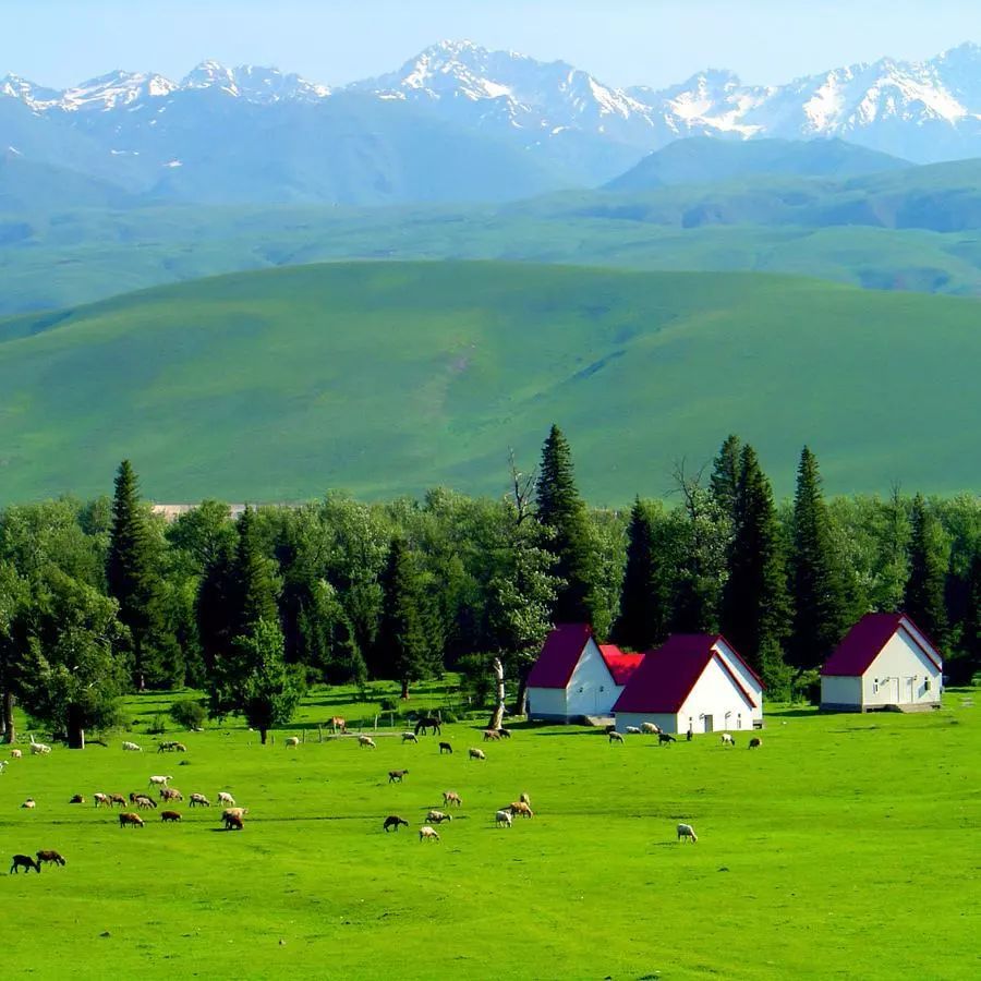 北疆的水美,北疆的美歌曲完整版