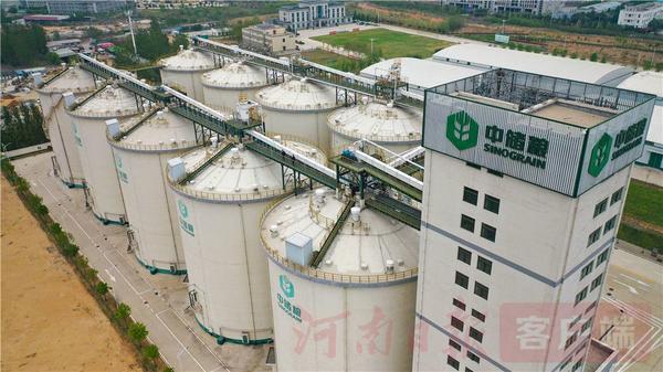 中原粮仓纪录片,探秘大国粮仓中储粮动画