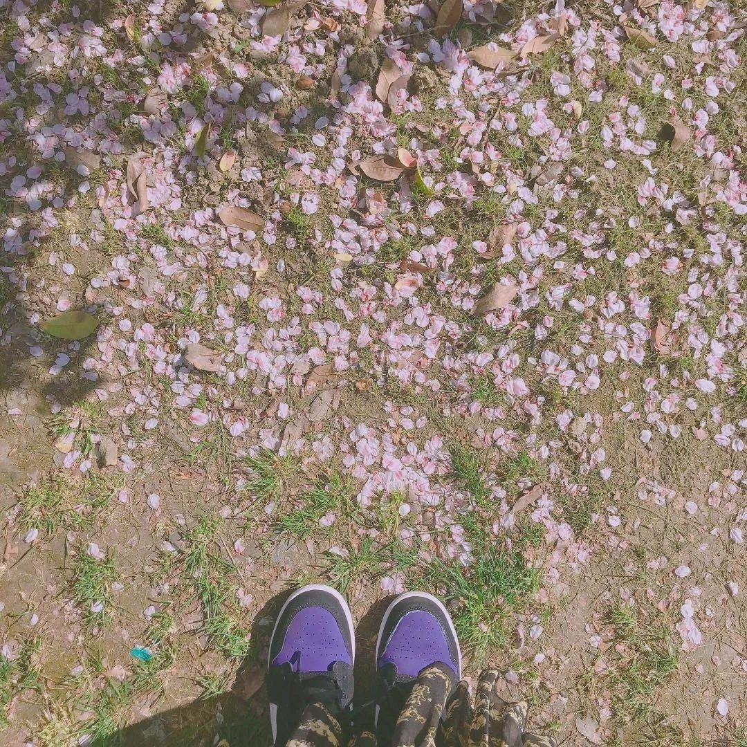 秋冬粉底液奶油肌推荐,春日奶油肌