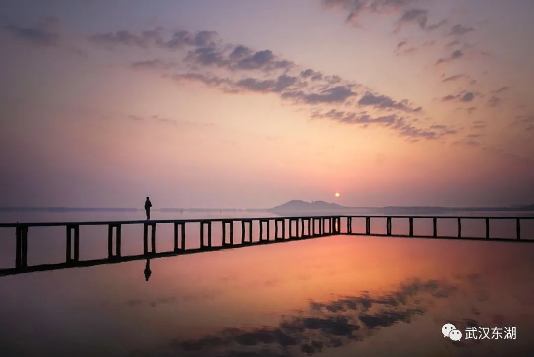 武汉解封后，我最先奔向了东湖