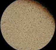 放上这颗球，再也不用担心进屋不敢脱鞋了