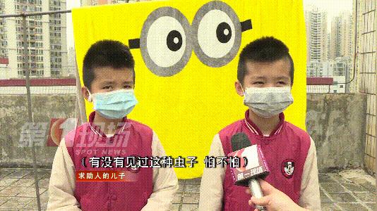 致命来袭十种最危险的昆虫,防不胜防的昆虫