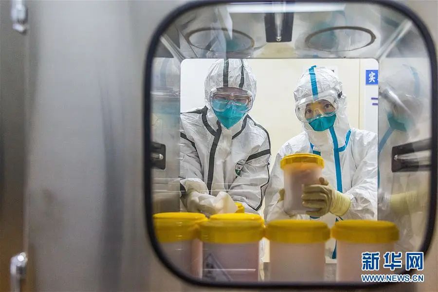 p2p3实验室是什么,p2p3实验室等级划分