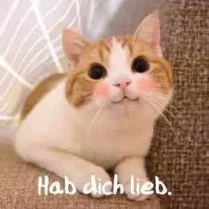 表情包，朋友圈，发红包，加好友……这些微信用语，你会用德语说吗？