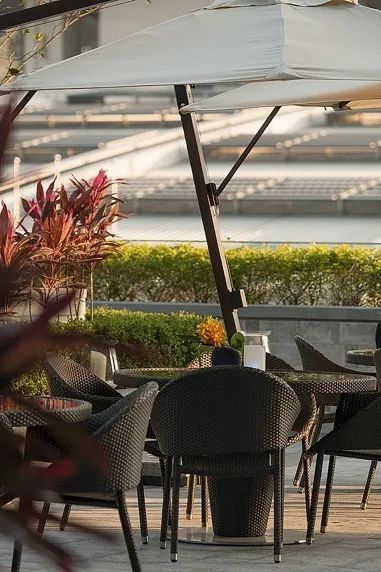 LOOK|深圳下午茶攻略·16家星级酒店都来了