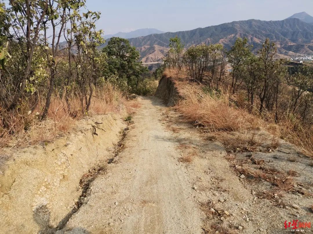 村民自费修山路被罚4万处理后续,村民自费修山路被罚4万处理
