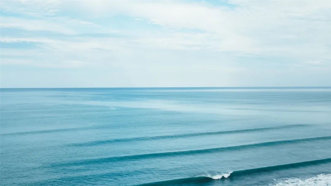 早读的收获和感悟,早读是积极的开始