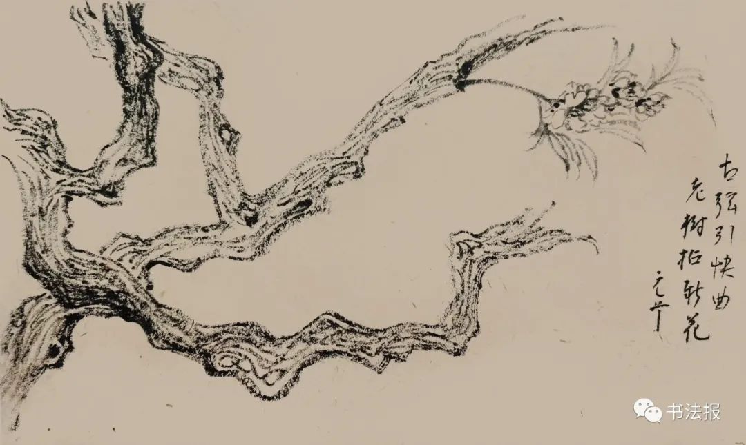 笔墨迎春花，57位画者为桃花“造像”