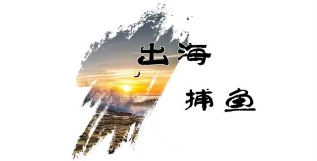 舟山带鱼是带鱼中的爱马仕,雷达网带鱼和普通带鱼有什么区别