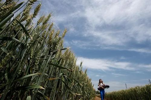 农村农业有效投资政策,农业农村部鼓励投资农业