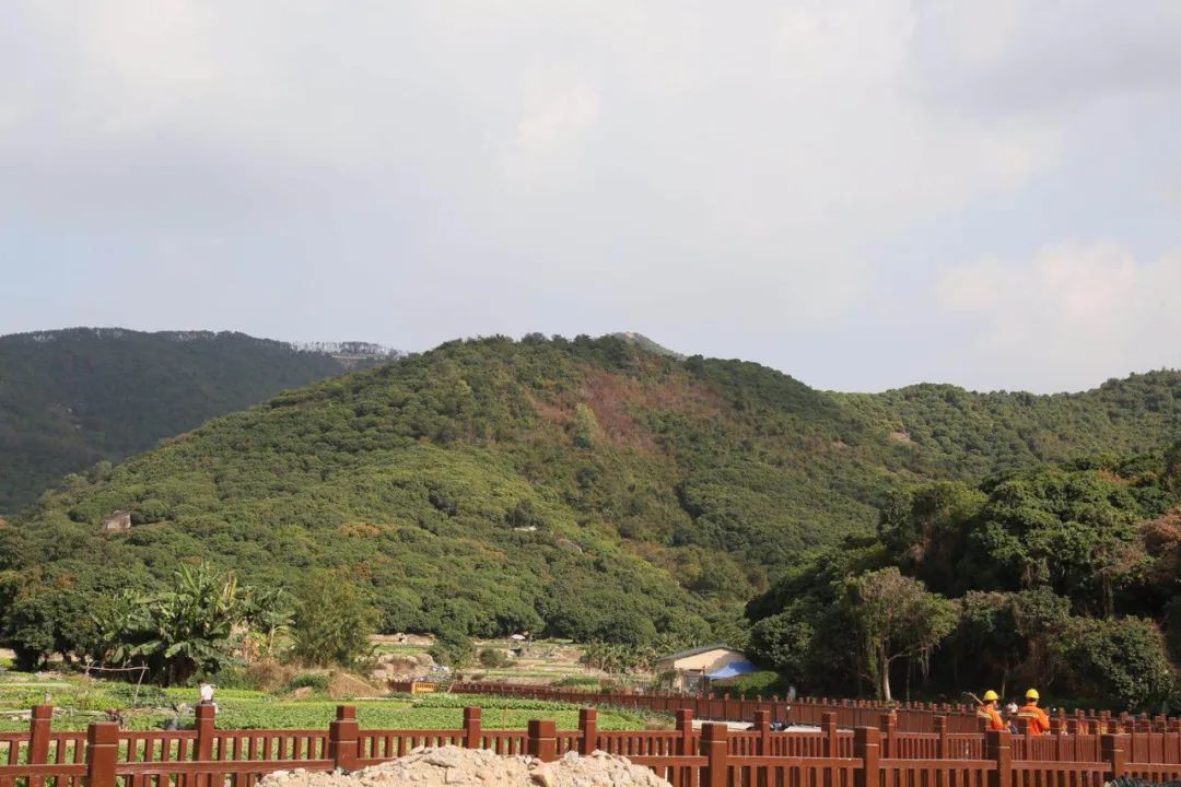 深圳羊台山为什么改成阳台山,深圳西部第一峰羊台山