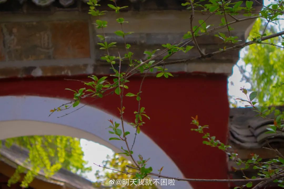 成都周边一日游免费景点推荐,成都温江十大景点免费